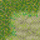 17/61